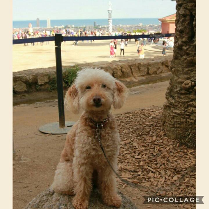 0d7e9b77 a50a 48af b052 8a9afe0a160a 1558908420006