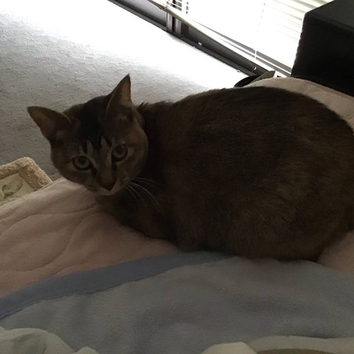 0d7f0759 dc8c 443c 8813 530e37e97cc5 1583704930461