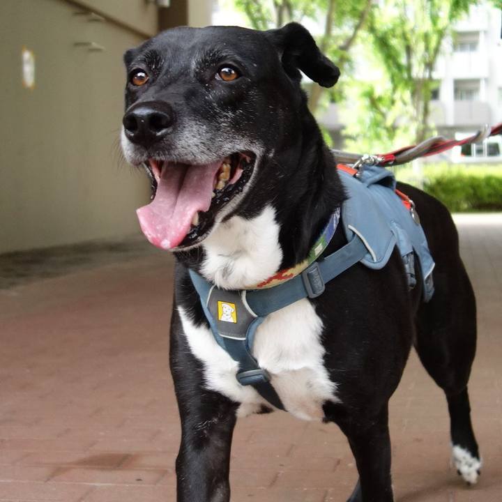 0d7f12d3 0eac 4a16 9263 069335cf1bfd 1715733502993