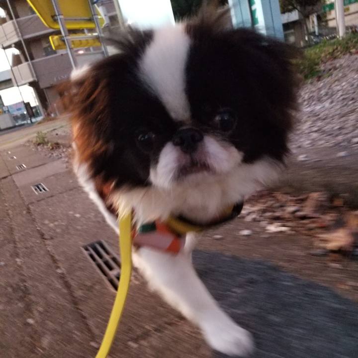 0d7f3960 1f98 40c0 a1b6 ef926368d308 1637707867001