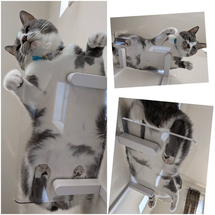 0d7f49b3 c437 4a75 bf03 db202f839845 1728804008031