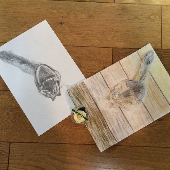 0d7f6c9a cb6c 42d5 b26f d54b81a769b3 1570289017277