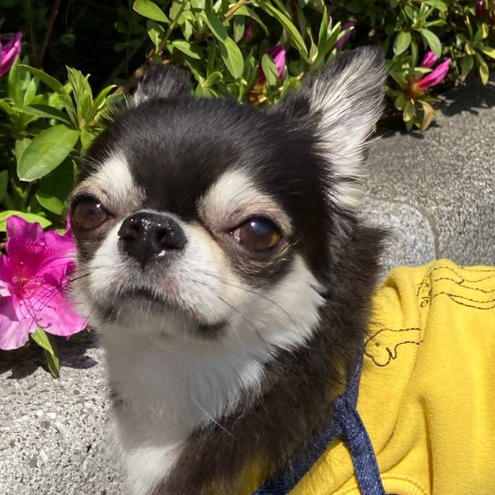 0d7f7df8 8f84 414b ac45 a2c5ba19611f 1682002748238