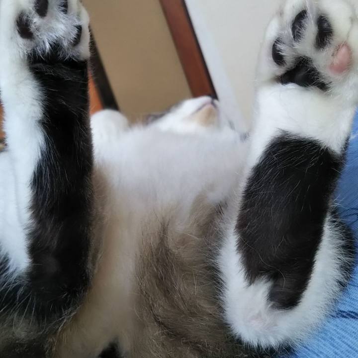 0d7fa2b0 b7fe 4ed6 887e 51af67b5abf0 1605923265840