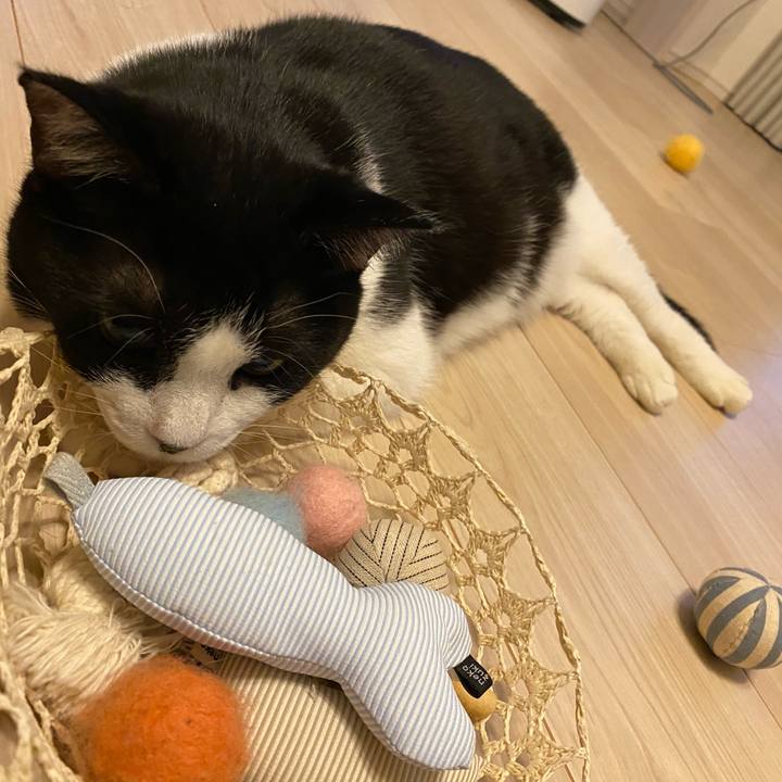 0d80209b 86b4 48de 8492 bdac1328185b 1733657825617