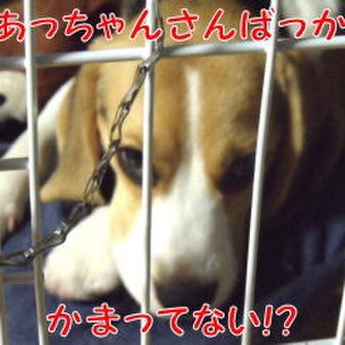 0d805e58 0891 4e14 a5ed 2990182fa40e 1687479633826