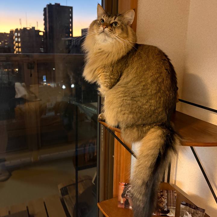 0d806b67 ad69 4102 b1e1 908f04c5ac91 1768343093600