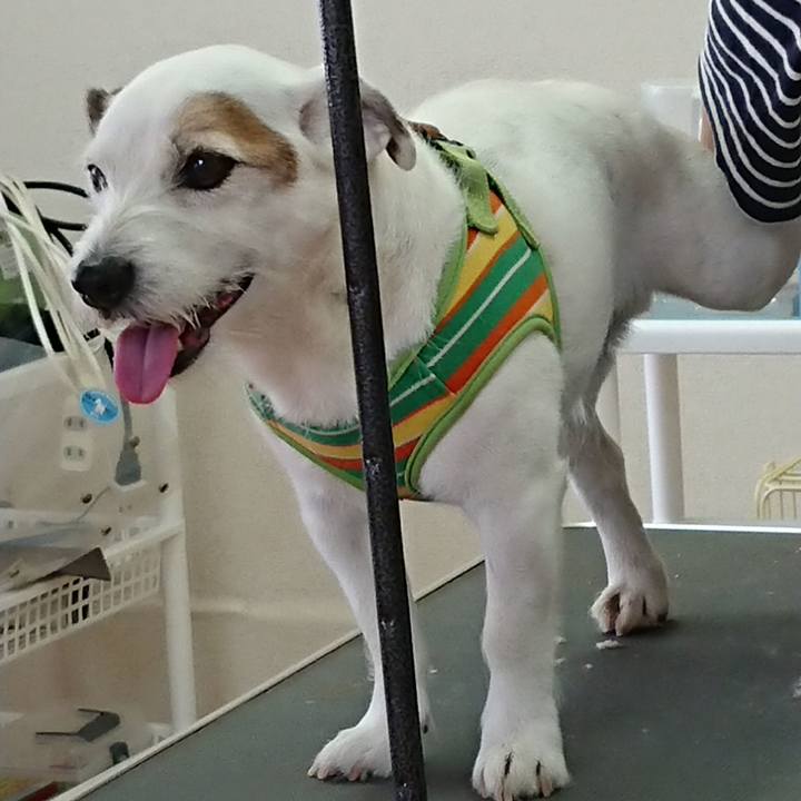 0d80a524 ccfe 4143 9589 7ad855626cbf 1526512010815