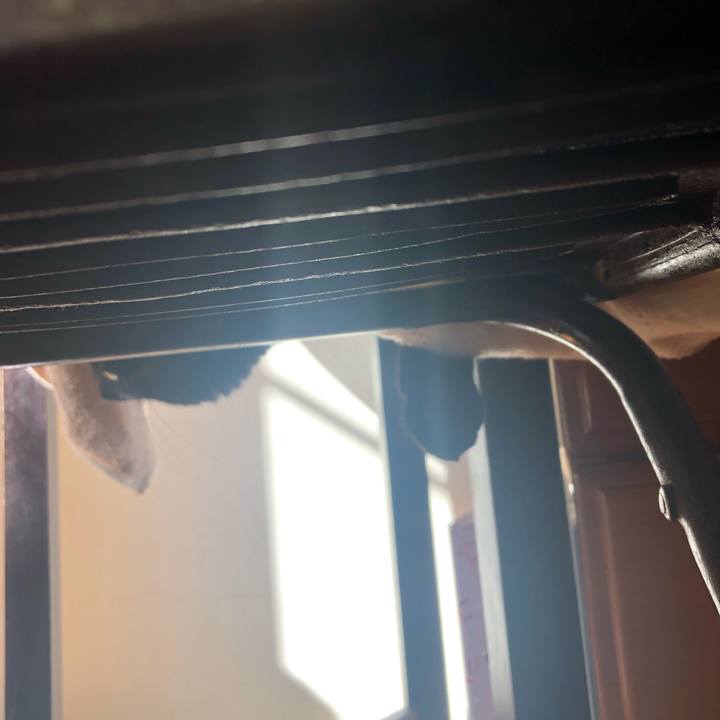 0d80f906 2d19 4bf7 bbbd 32dad68c9903 1544840248260