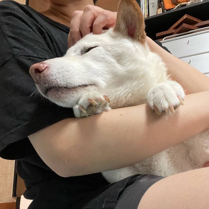 0d81686f 5da5 4c10 a6c7 7259d264308a 1634182572570