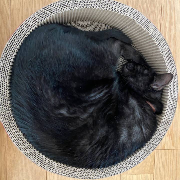 0d817095 6735 41ff 821d ec1e734a7c8a 1635820925497