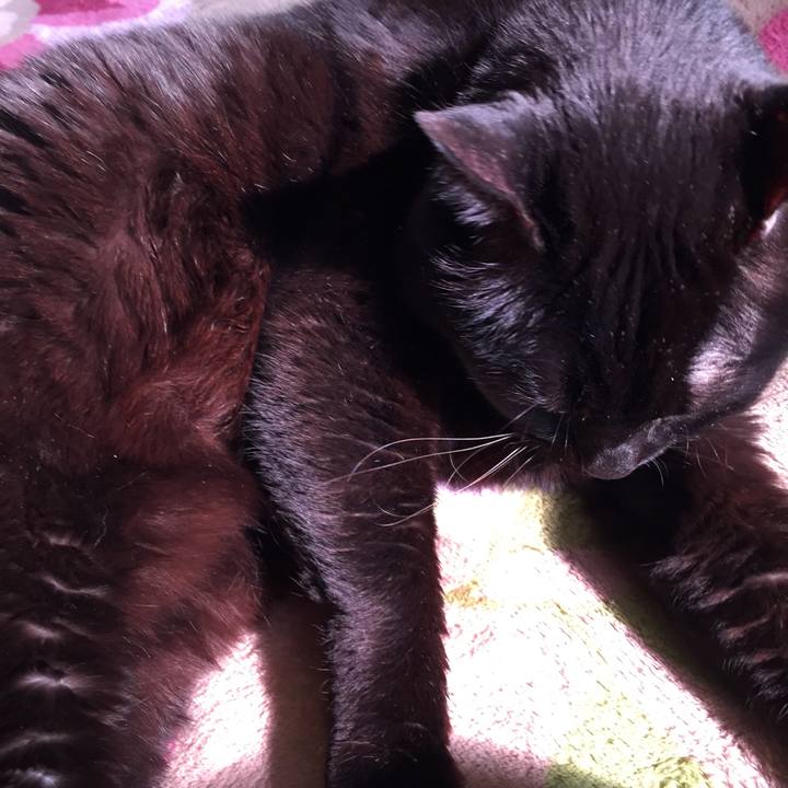 0d81a981 35a2 440e 994a f6c046f59b71 1517795424777