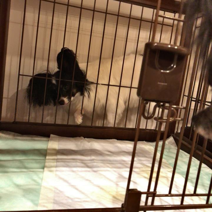 0d81cecf e408 4aef bd74 69b3261db145 1508585858985