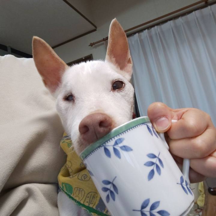 0d81cf88 90e3 4779 bc9f 27cf76dd5381 1580340852567