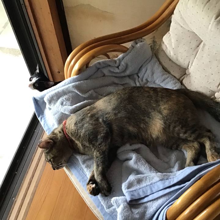 0d821b84 9128 447b b7f1 f0ccfde481f3 1629881838010