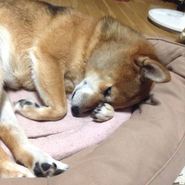 0d821fcb 7804 475c afb1 b97d058bd413 1507988407135