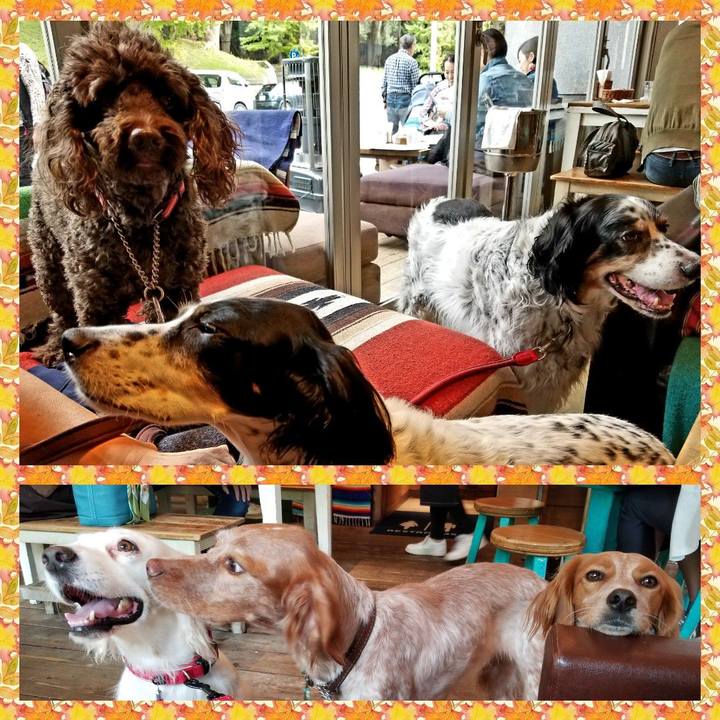 0d823359 7069 4378 ac7c 1032e0eb128a 1540883330958