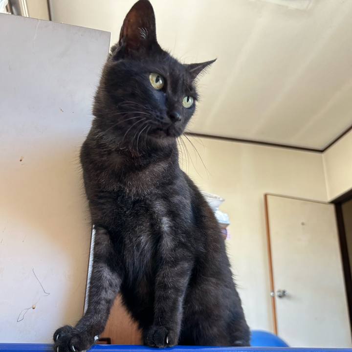 0d8243af f030 42ab 9120 7de4cd417f1a 1724232810461