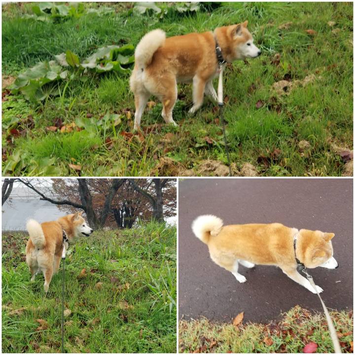 0d824c6b a4f2 40f4 9f55 87cd3db36cec 1699594116966