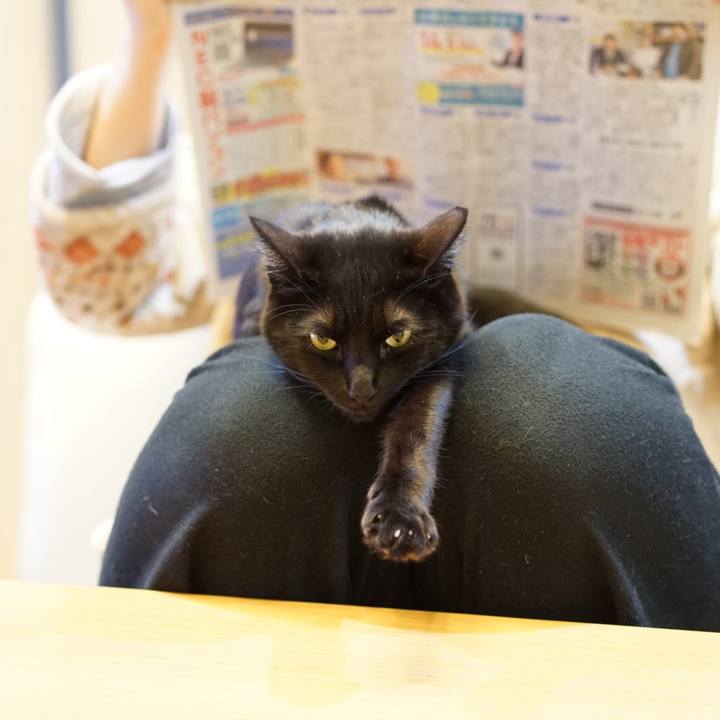 0d825a45 cacc 4825 a581 7d6a41f5f960 1550794847022