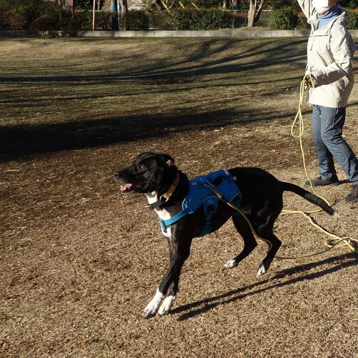 0d825a8e 9d72 454f 9a71 bb17df04ff45 1614732034157