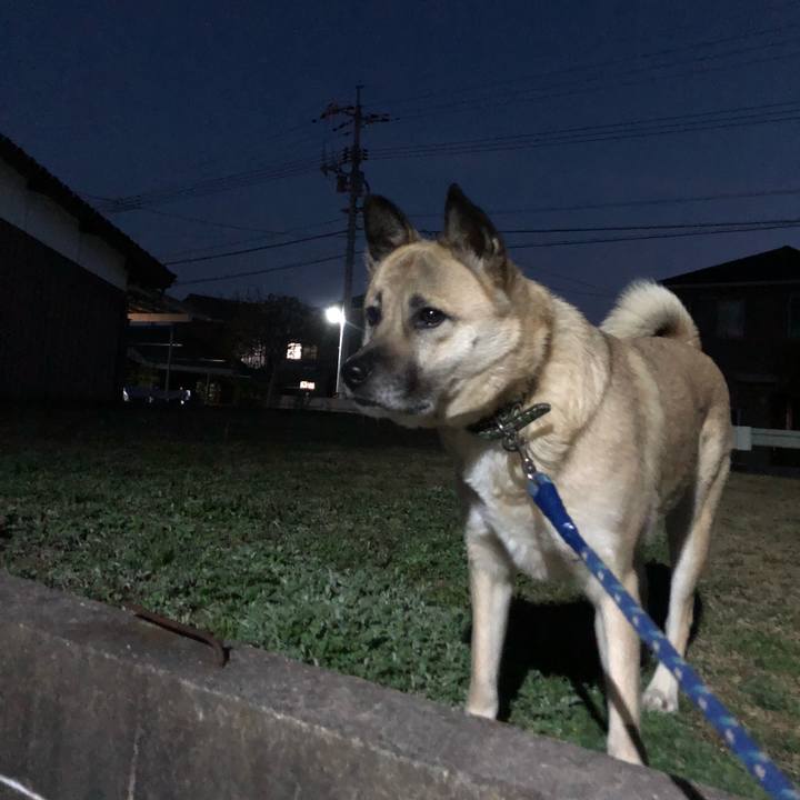 0d82964f e25a 421f bc29 78e540ff3942 1615203287181