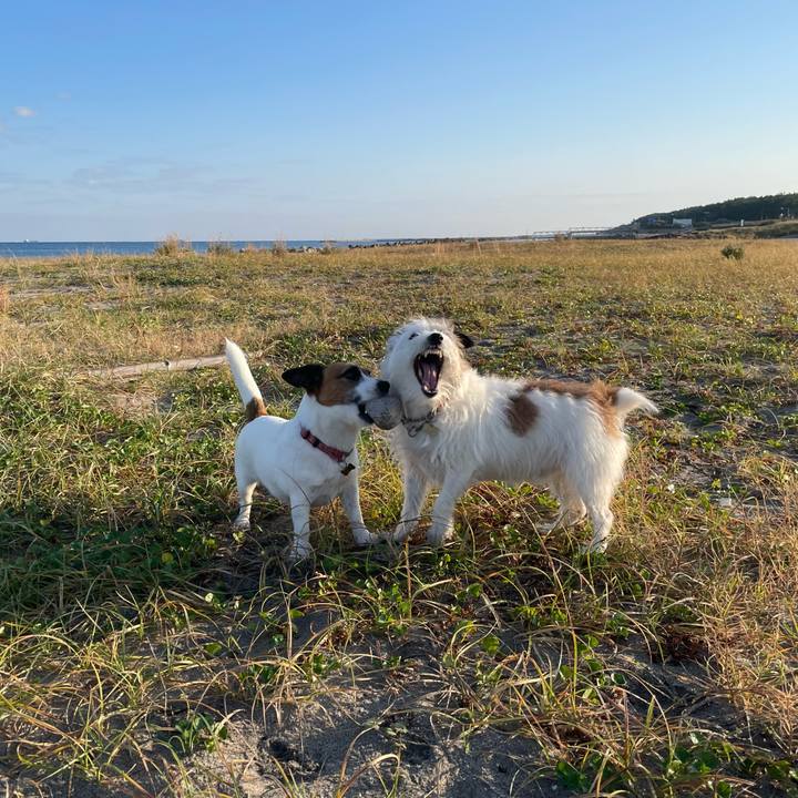 0d82b139 3229 42ba 851f 46f583f96a41 1729989464985