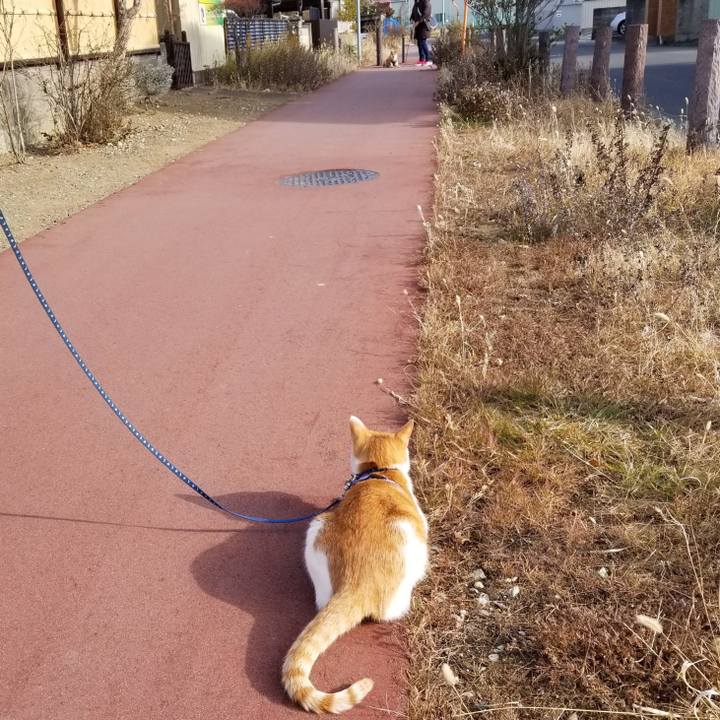 0d82bad3 fb92 47b1 a3b1 f4c9b1167fd2 1546770021480