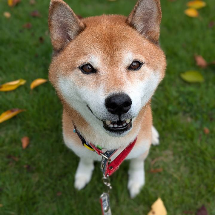 0d82fa55 8e30 4230 bdfd ec76e86cc40b 1758181227332