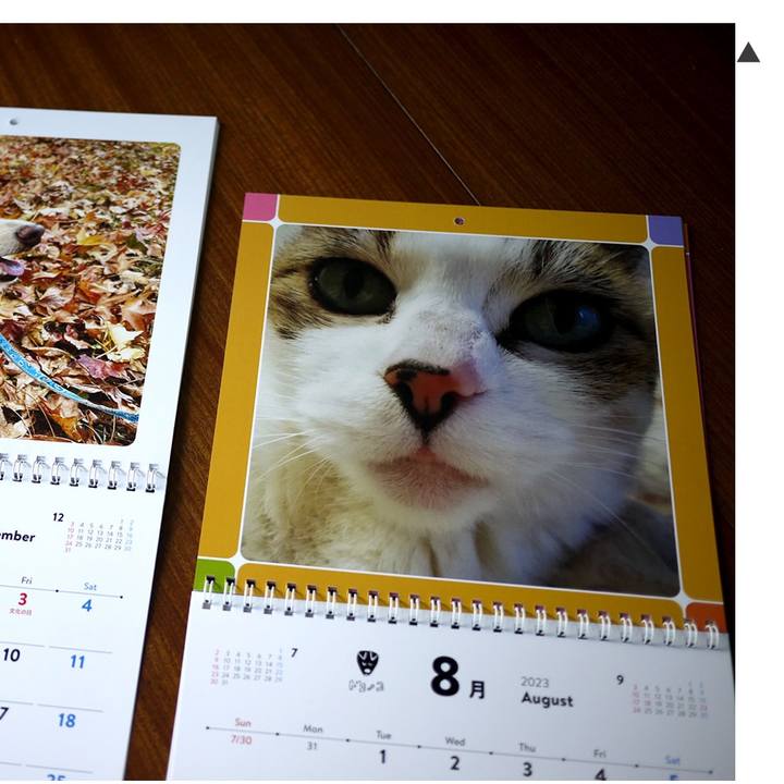 0d82ffe0 67ae 46d5 a980 fb034f6f12f7 1764112104391