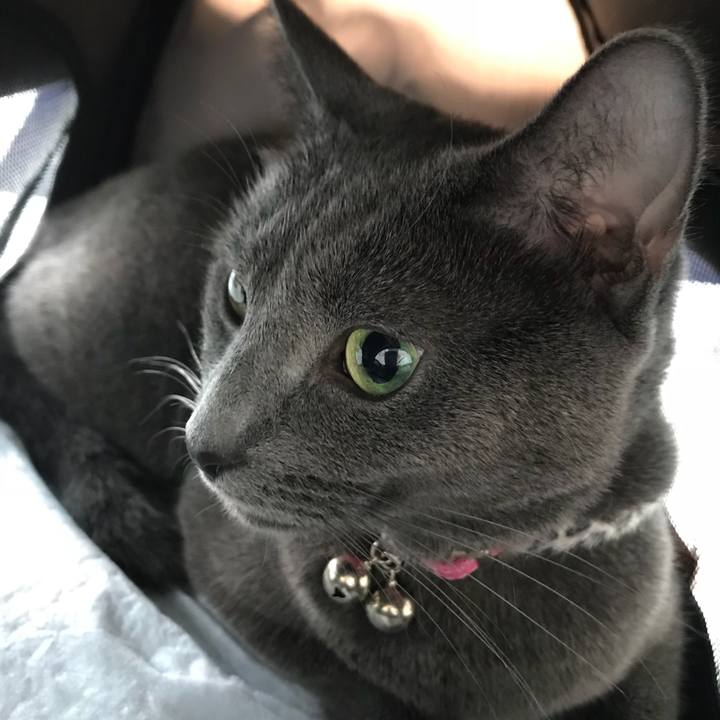 0d830139 8d27 4ad2 b336 7014a36f8188 1535937999902