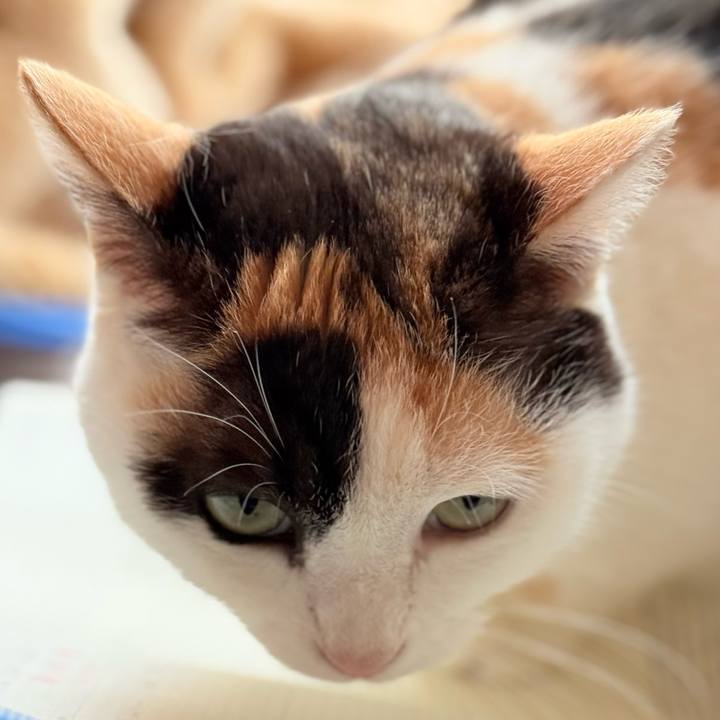 0d835857 54ea 40b4 a397 f33e0317b6f8 1742005956456