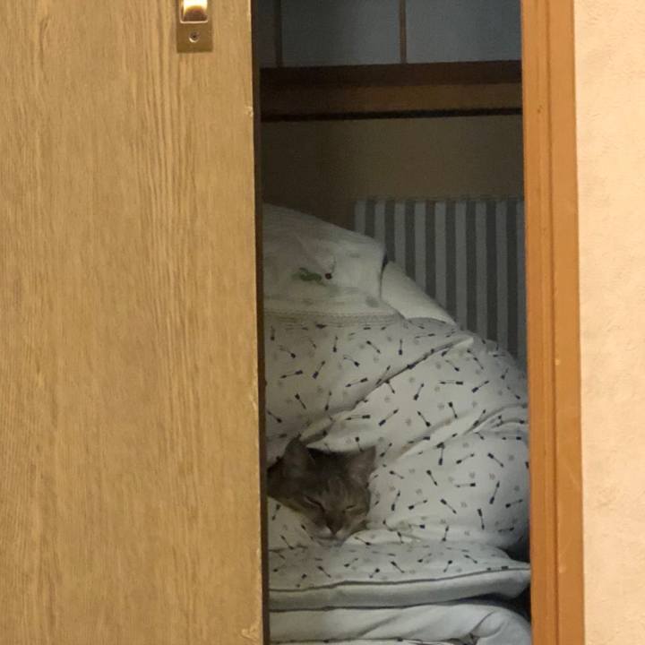 0d8360ad cebe 4f2d a3e3 ab36c4c0f0d9 1546424284256