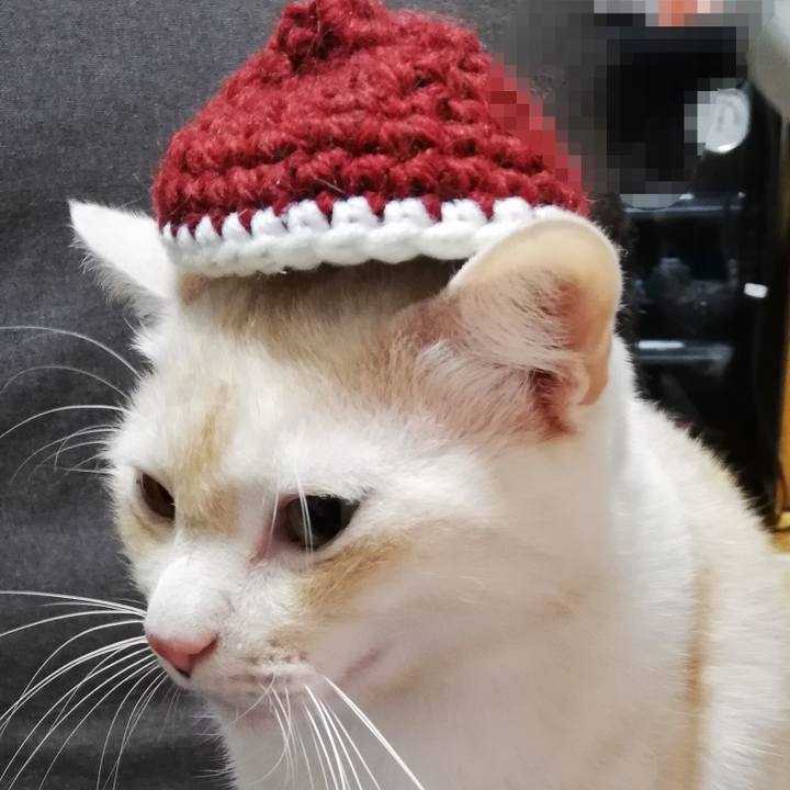 0d8362a7 01da 4e10 92c9 1482872f3c56 1606795004012