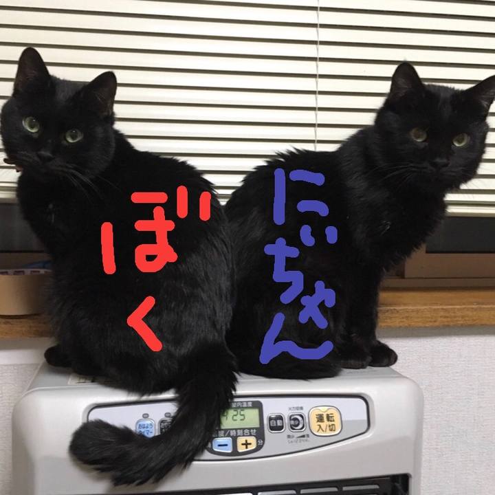 0d837f7e d263 45ef b7d4 d13c41438f77 1581399311372