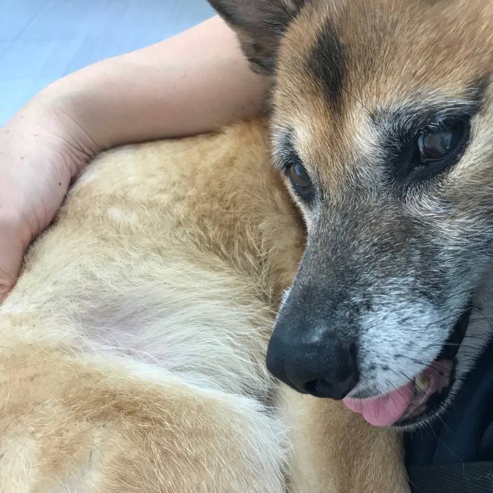 0d837fe7 1ee5 4d45 a2e7 c6e568ec5206 1536458260045