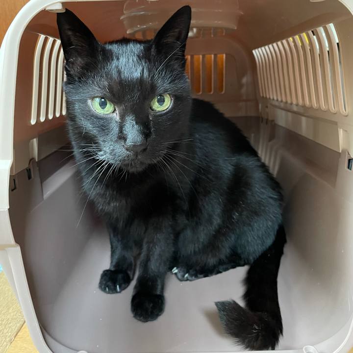 0d83b9ba d091 4137 8298 4d465786b7ad 1623722975684