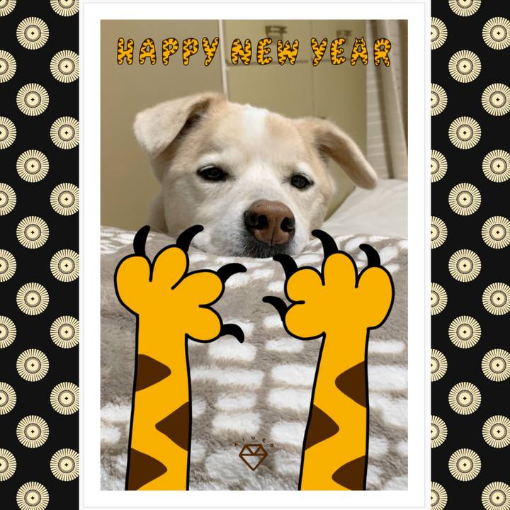 0d83c940 30b3 4a74 b322 ca80d9190122 1641116731352