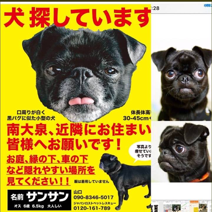 0d83d106 ac11 43f7 8726 f2b55e7744a5 1529406425579