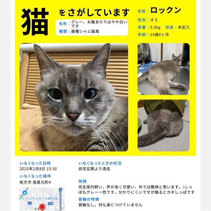 0d83d9d5 e7eb 4ae9 a454 b60fdfd4a6fd 1739797878806