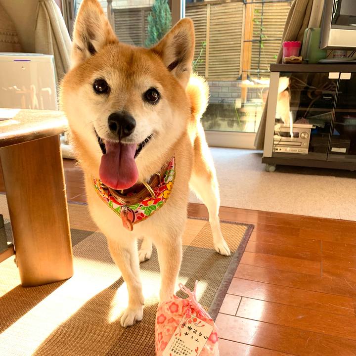 0d83e652 6618 46ea 96c6 deab3de95987 1609124073006