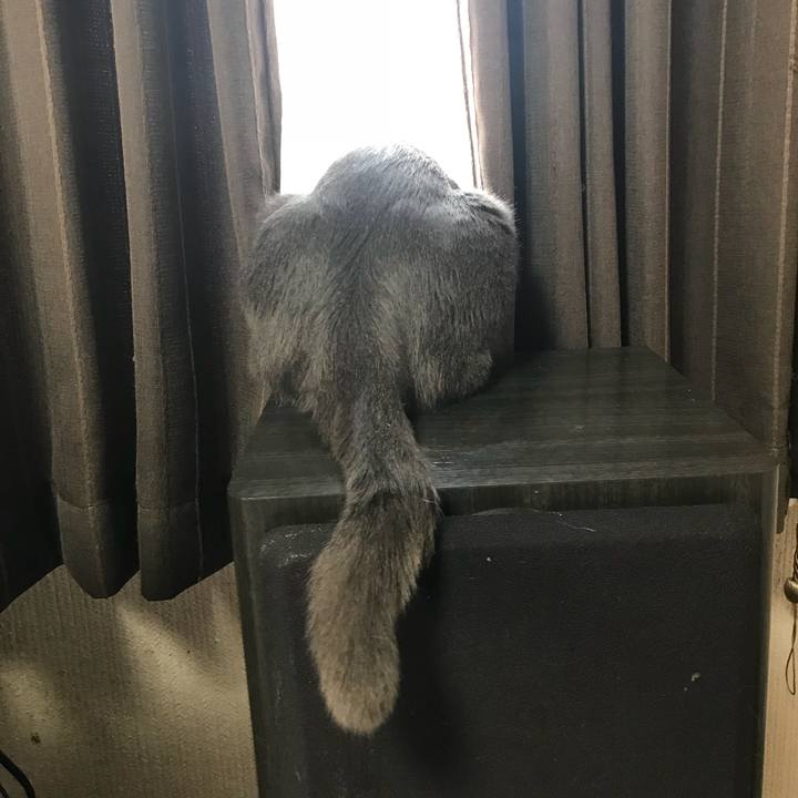 0d83fe9d d7ad 4703 947d 91ae08395057 1522104342839