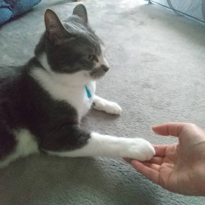 0d845d01 8675 421a 98f9 452fbe48f2fb 1651738411440