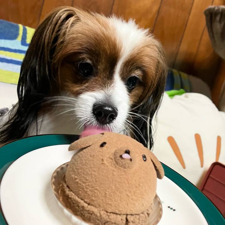 0d84b4cf b653 47de 9779 9caba7190b81 1718146584413