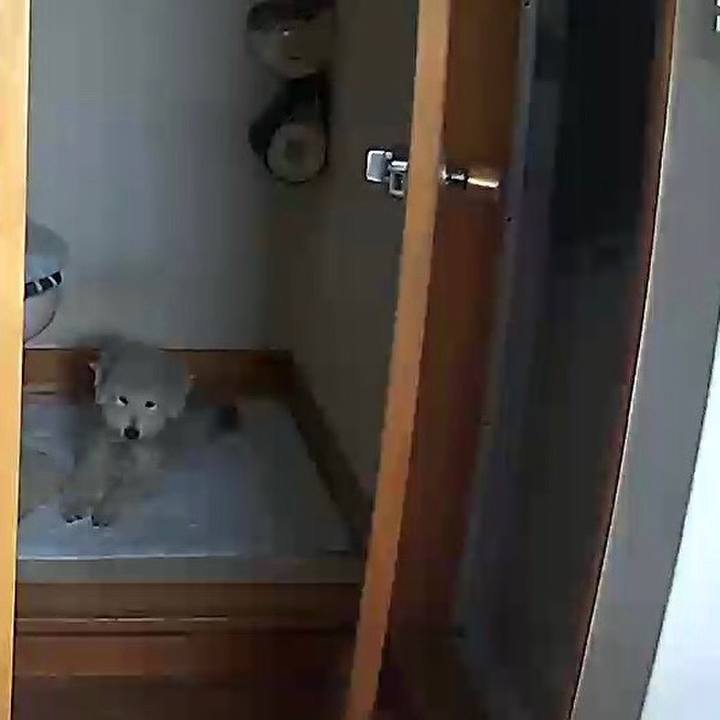 0d84ea3b ab2d 491a 8b79 0386bc9caa3c 1574902062340