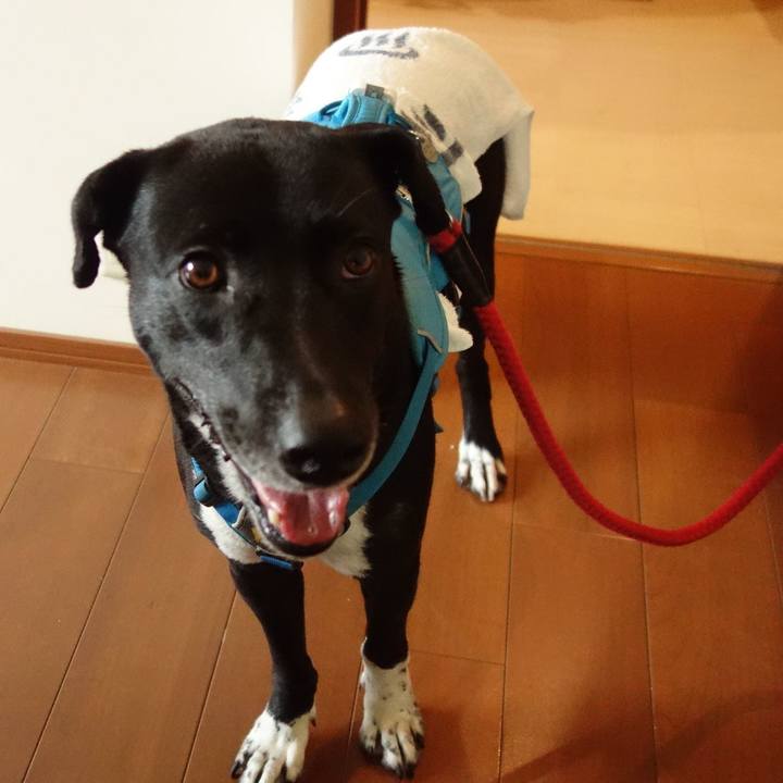 0d852cd8 31ea 4015 8ad1 659742bbf191 1620558478634