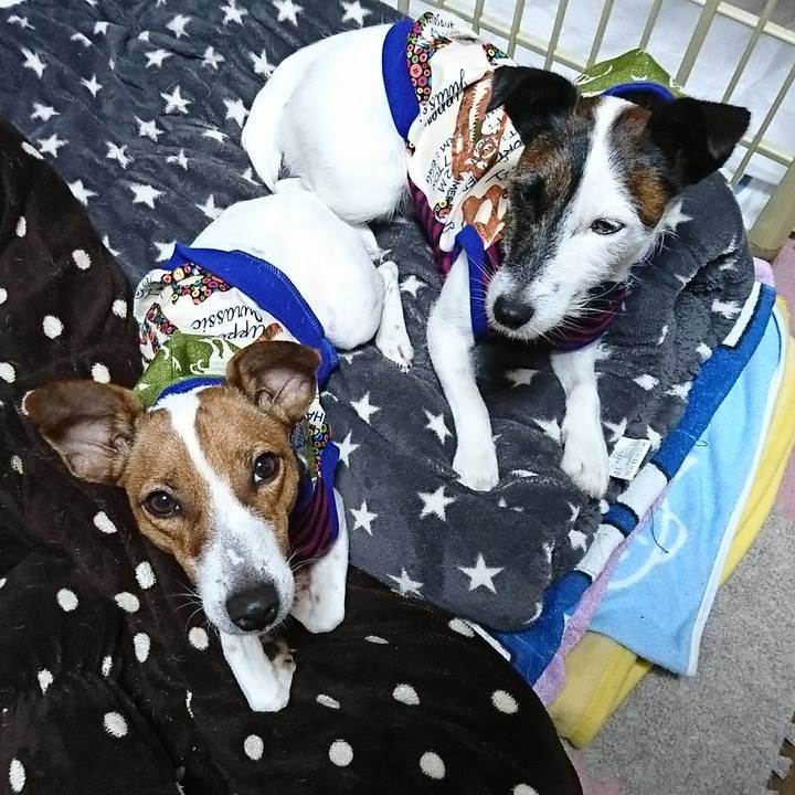 0d85472f e38f 42a7 ae41 039f154812ab 1541943459895