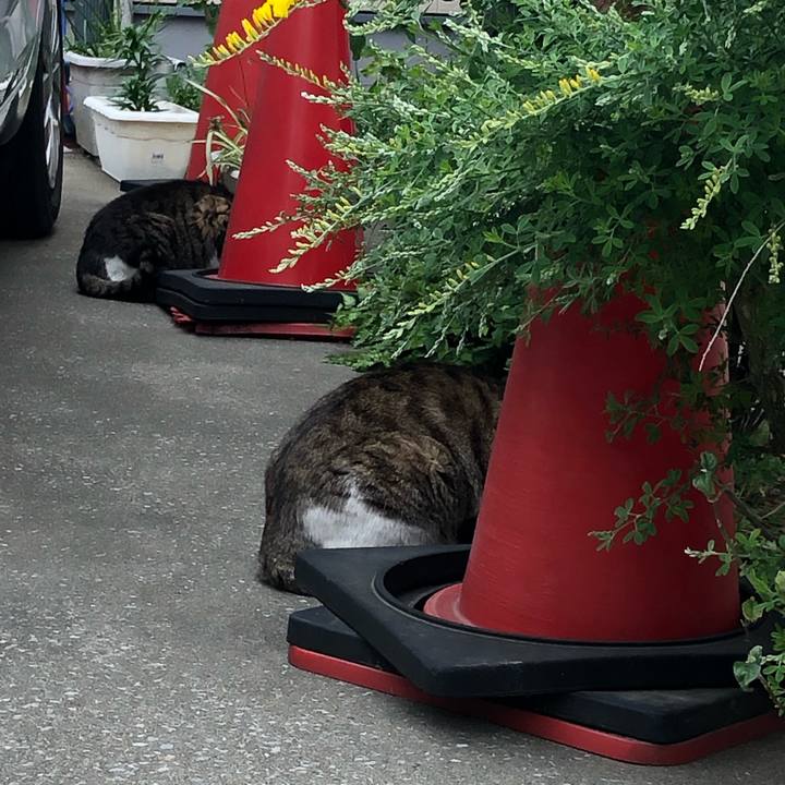 0d859478 87cd 40ce b316 583bb235142d 1555679249834