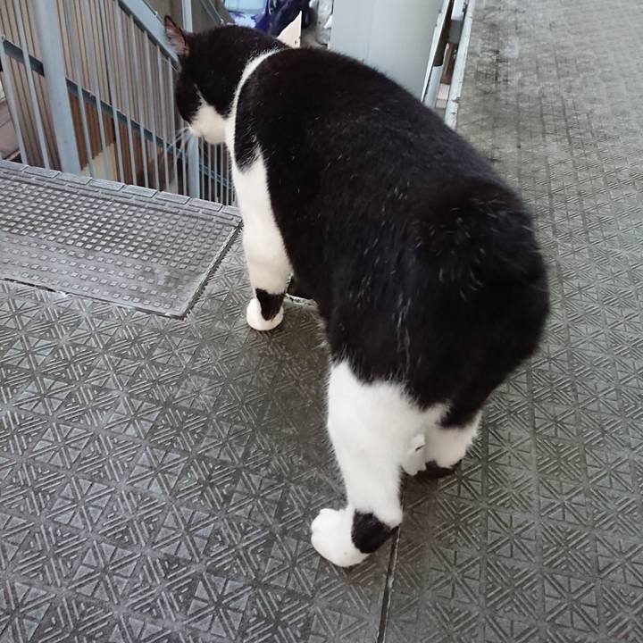 0d85b695 c9cd 4cb2 b397 56cf82fa6479 1664095196072