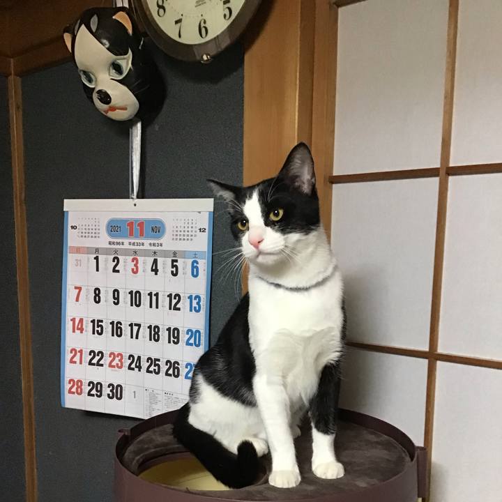 0d85ce02 39bd 4720 a548 7e0130718303 1638262205196